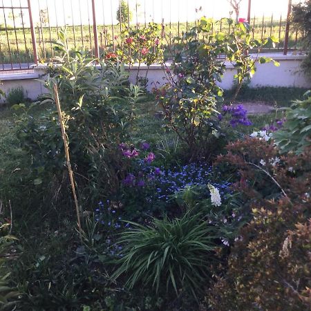 Suite Al Pian Gugi Bagian luar foto