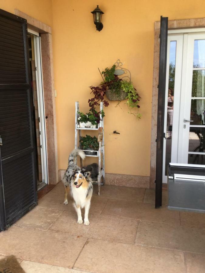 Suite Al Pian Gugi Bagian luar foto